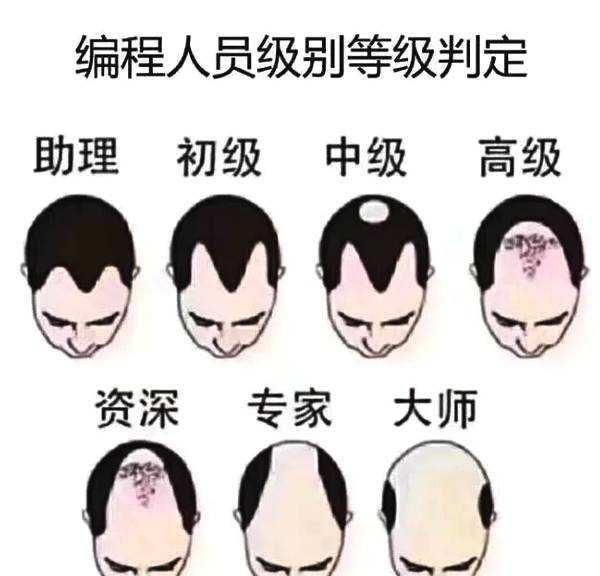 互联网编程人员级别等级判定